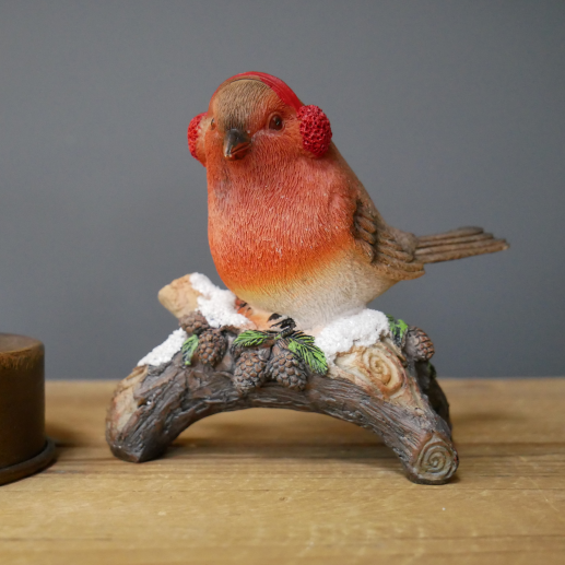 Winter Robin