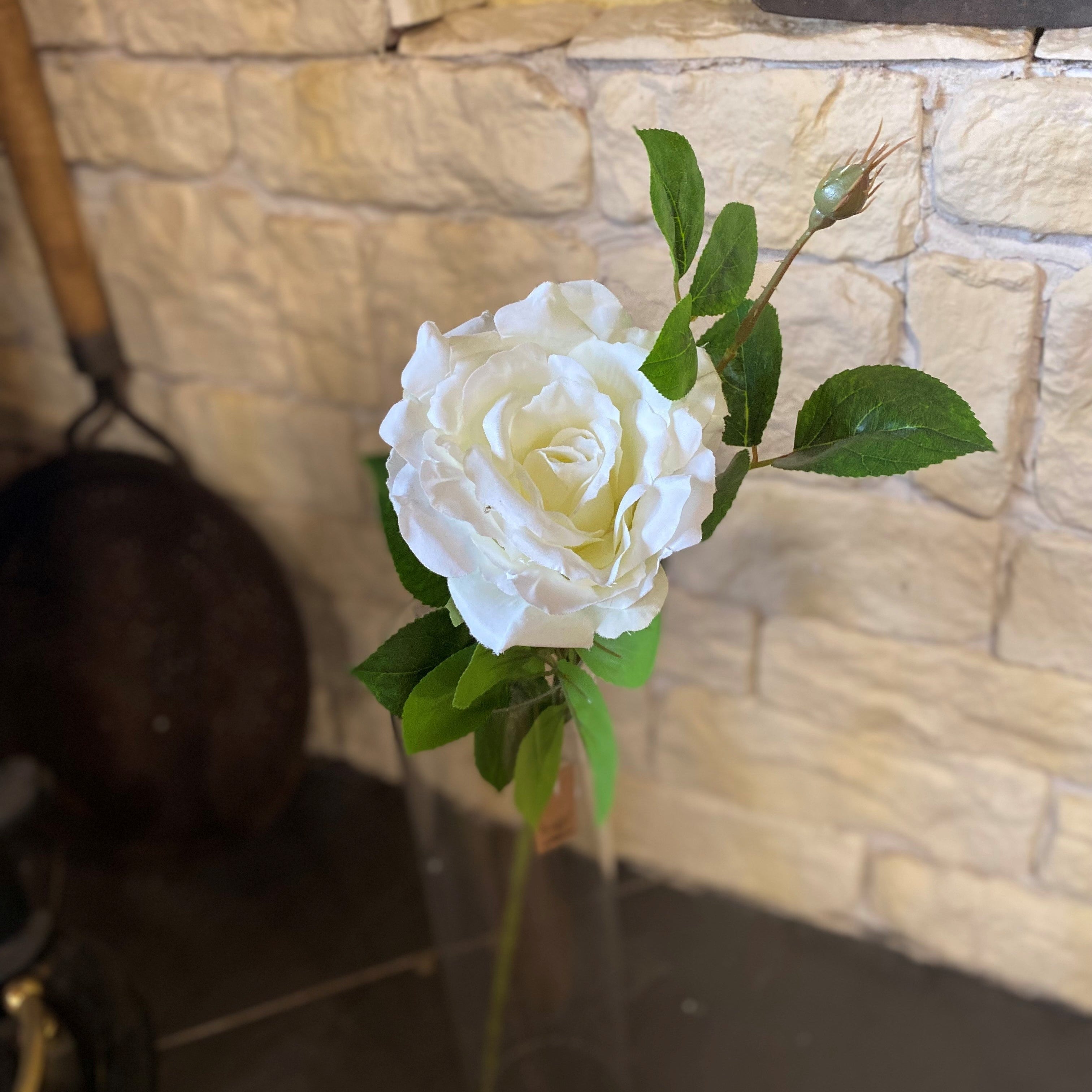 Globe Rose Ivory
