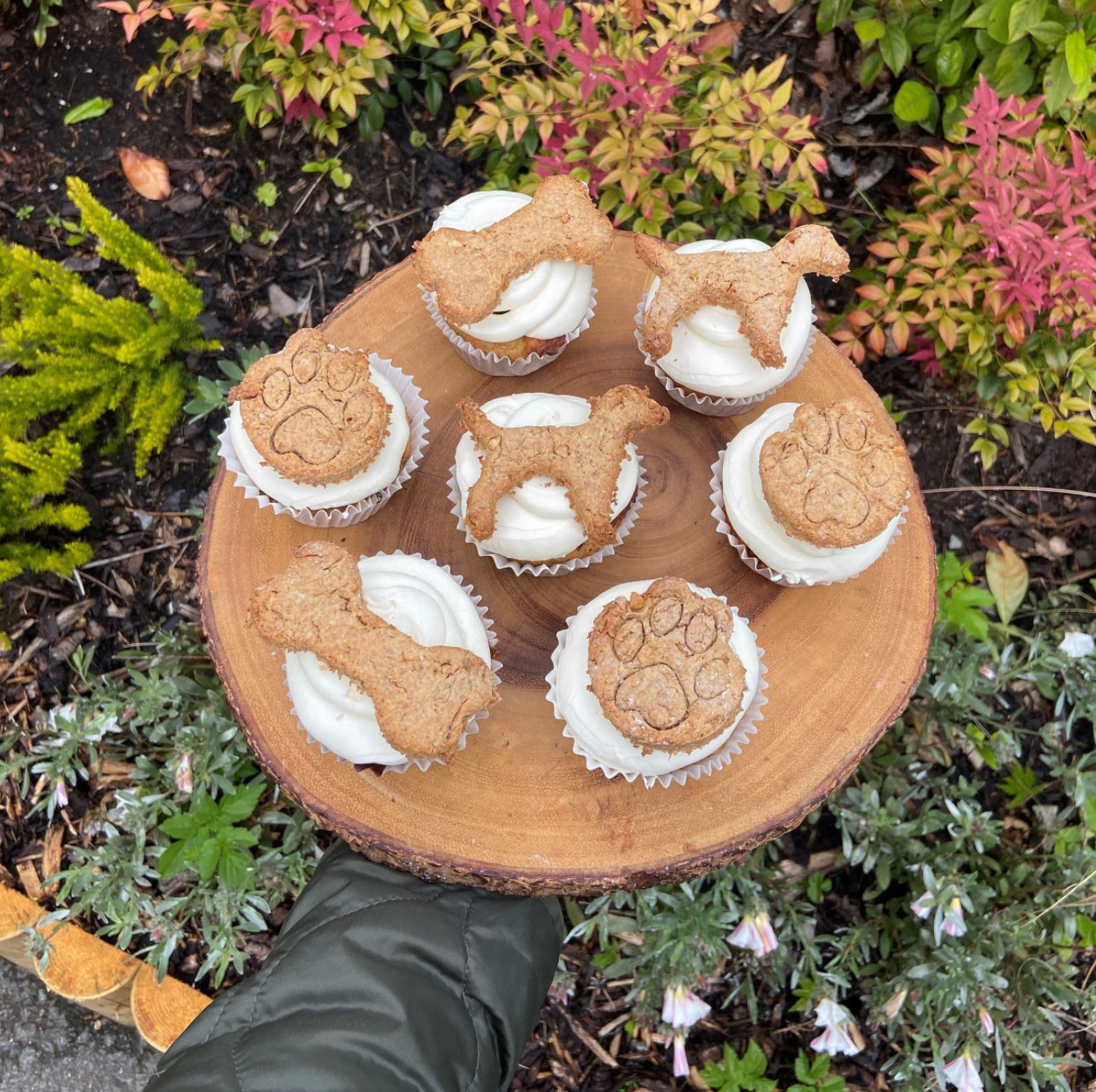 Pupcakes
